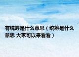 有统筹是什么意思（统筹是什么意思 大家可以来看看）