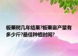 板栗树几年结果?板栗亩产量有多少斤?最佳种植时间?