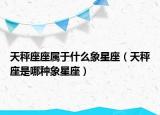 天秤座座属于什么象星座（天秤座是哪种象星座）