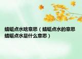蜻蜓点水啥意思（蜻蜓点水的意思 蜻蜓点水是什么意思）