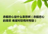 赤胆忠心是什么意思啊（赤胆忠心的意思 希望对您有所帮助）