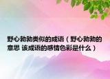 野心勃勃类似的成语（野心勃勃的意思 该成语的感情色彩是什么）
