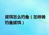 搓饵怎么钓鱼（怎样做钓鱼搓饵）