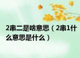 2串二是啥意思（2串1什么意思是什么）