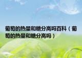 葡萄的热量和糖分高吗百科（葡萄的热量和糖分高吗）