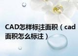 CAD怎样标注面积（cad面积怎么标注）