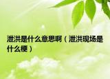泄洪是什么意思啊（泄洪现场是什么梗）