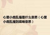 心里小鹿乱撞是什么意思（心里小鹿乱撞到底啥意思）