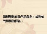 清新脱俗有仙气的群名（成熟仙气飘飘的群名）