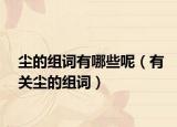 尘的组词有哪些呢（有关尘的组词）