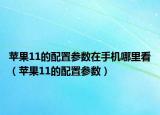 苹果11的配置参数在手机哪里看（苹果11的配置参数）