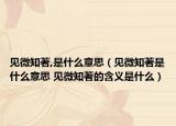 见微知著,是什么意思（见微知著是什么意思 见微知著的含义是什么）
