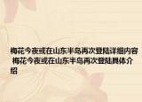 梅花今夜或在山东半岛再次登陆详细内容 梅花今夜或在山东半岛再次登陆具体介绍