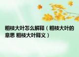 粗枝大叶怎么解释（粗枝大叶的意思 粗枝大叶释义）