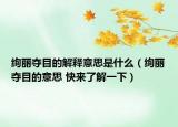 绚丽夺目的解释意思是什么（绚丽夺目的意思 快来了解一下）