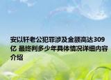 安以轩老公犯罪涉及金额高达309亿 最终判多少年具体情况详细内容介绍