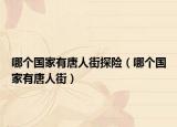 哪个国家有唐人街探险（哪个国家有唐人街）