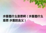 水客是什么意思啊（水客是什么意思 水客的含义）