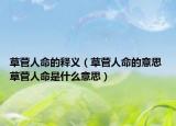 草菅人命的释义（草菅人命的意思 草菅人命是什么意思）