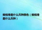 橄榄绿是什么兵种颜色（橄榄绿是什么兵种）