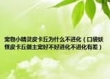 宠物小精灵皮卡丘为什么不进化（口袋妖怪皮卡丘做主宠好不好进化不进化有差）