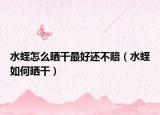 水蛭怎么晒干最好还不赔（水蛭如何晒干）