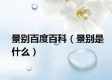景别百度百科（景别是什么）