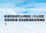 卧室适合放什么样的花（什么花适合放在卧室 适合放卧室的花有哪些）