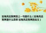 狡兔死走狗烹的上一句是什么（狡兔死走狗烹是什么意思 狡兔死走狗烹的含义）