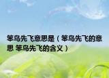 笨鸟先飞意思是（笨鸟先飞的意思 笨鸟先飞的含义）