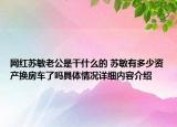 网红苏敏老公是干什么的 苏敏有多少资产换房车了吗具体情况详细内容介绍