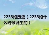 2233娘历史（2233娘什么时候诞生的）