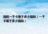 消耗一千卡等于多少脂肪（一千卡等于多少脂肪）