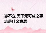 志不立,天下无可成之事志是什么意思