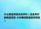 什么致富项目适合农村（适合农村的致富项目 分享赚钱致富的好项目）