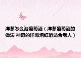 洋葱怎么泡葡萄酒（洋葱葡萄酒的做法 神奇的洋葱泡红酒适合老人）