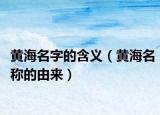 黄海名字的含义（黄海名称的由来）