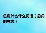 总角什么什么词语（总角的意思）