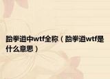 跆拳道中wtf全称（跆拳道wtf是什么意思）