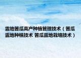 露地苦瓜高产种植管理技术（苦瓜露地种植技术 苦瓜露地栽培技术）