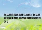 梅花香自苦寒来什么意思（梅花香自苦寒来意思 梅花香自苦寒来的含义）