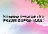等量齐观的齐是什么意思啊（等量齐观的意思 等量齐观是什么意思）