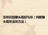 怎样识别猴头菇好与坏（判断猴头菇坏没坏方法）