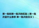 第一批和第一批次的区别（第一批次是什么意思 第一批次的含义）