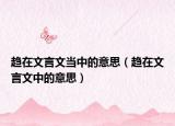 趋在文言文当中的意思（趋在文言文中的意思）