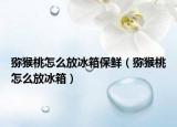 猕猴桃怎么放冰箱保鲜（猕猴桃怎么放冰箱）