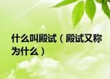 什么叫殿试（殿试又称为什么）