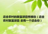 适合农村的致富项目有哪些（适合农村致富项目 总有一个适合你）