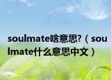 soulmate啥意思?（soulmate什么意思中文）