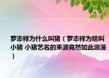 罗志祥为什么叫猪（罗志祥为啥叫小猪 小猪艺名的来源竟然如此浪漫）